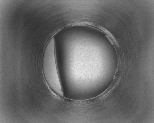 X0000074930809200609010917