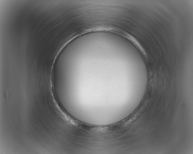 X0000074930810200609010917