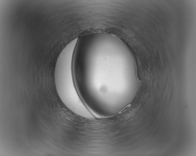X0000074930818200609010917
