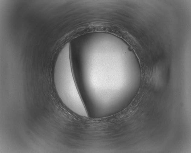 X0000074930821200609010917