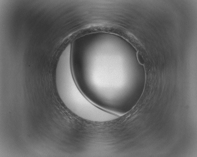 X0000074930822200609010917