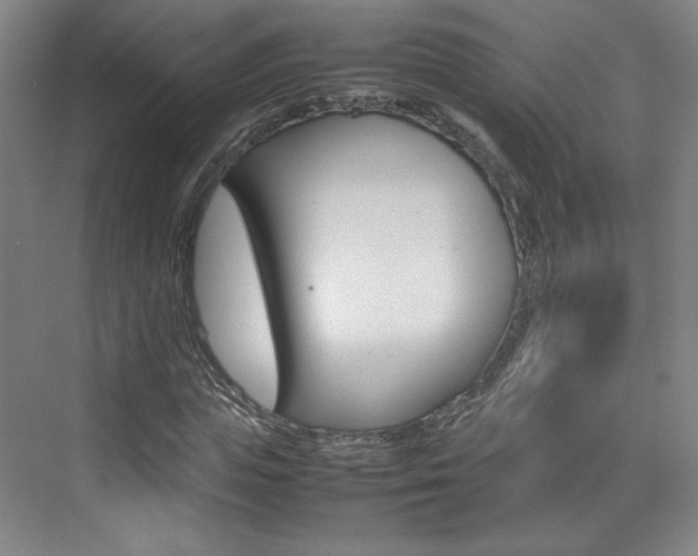 X0000074930823200609010917