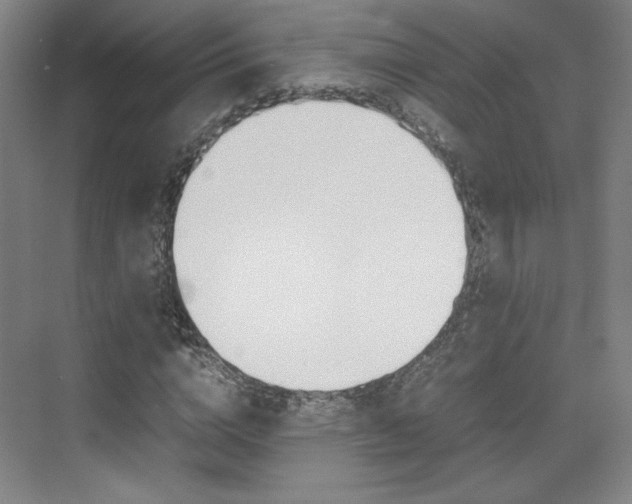 X0000074930824200609010917