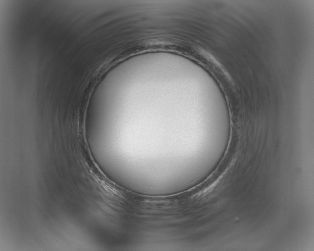X0000074930825200609010917