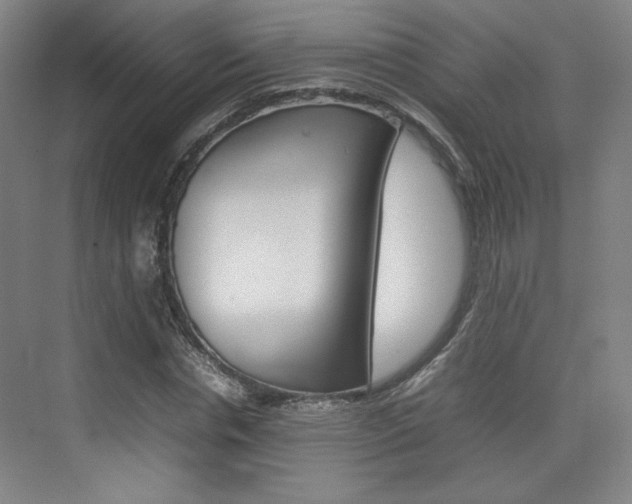 X0000074930826200609010917