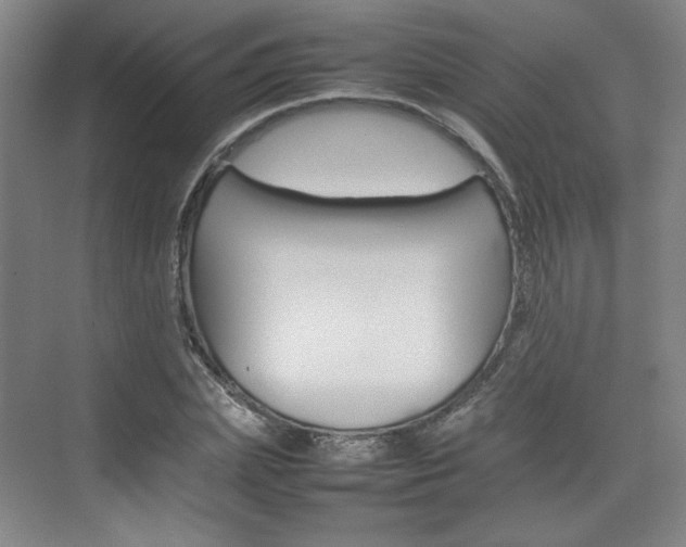 X0000074930831200609010917
