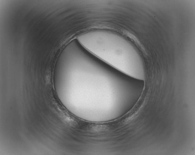 X0000074930833200609010917