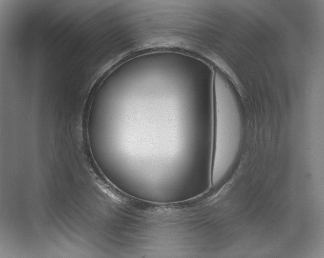 X0000074930834200609010917