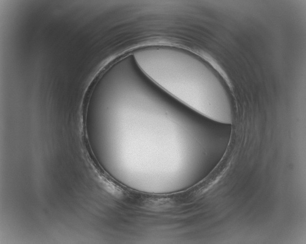 X0000074930837200609010917