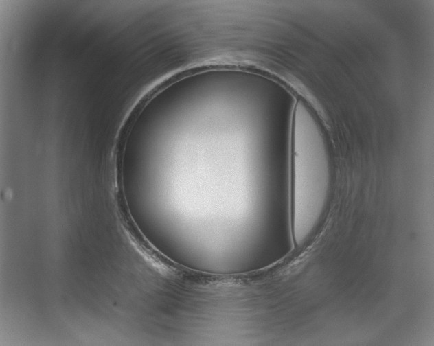 X0000074930838200609010917