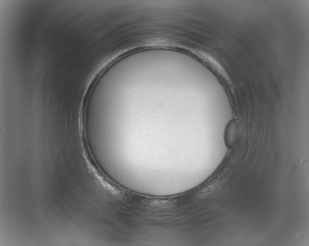 X0000074930839200609010917