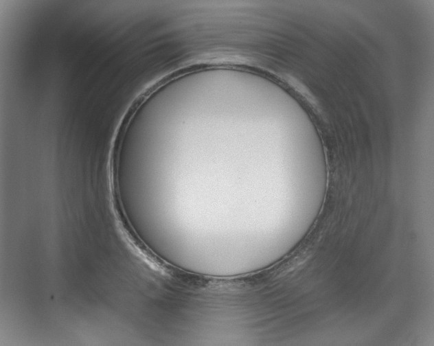 X0000074930840200609010917