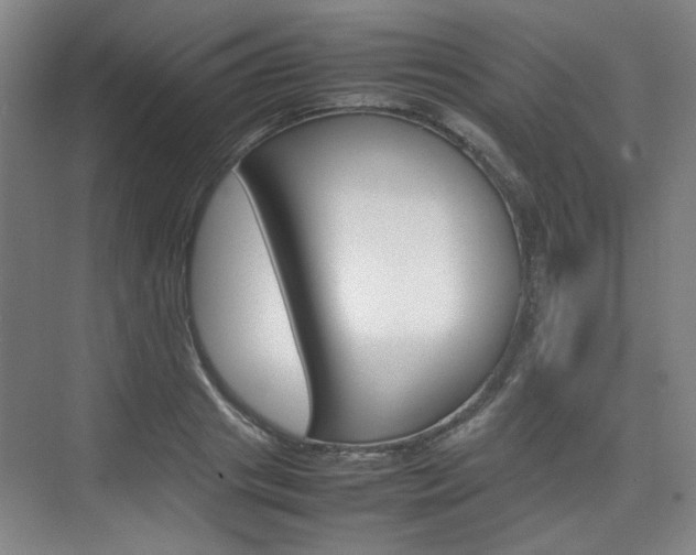 X0000074930841200609010917