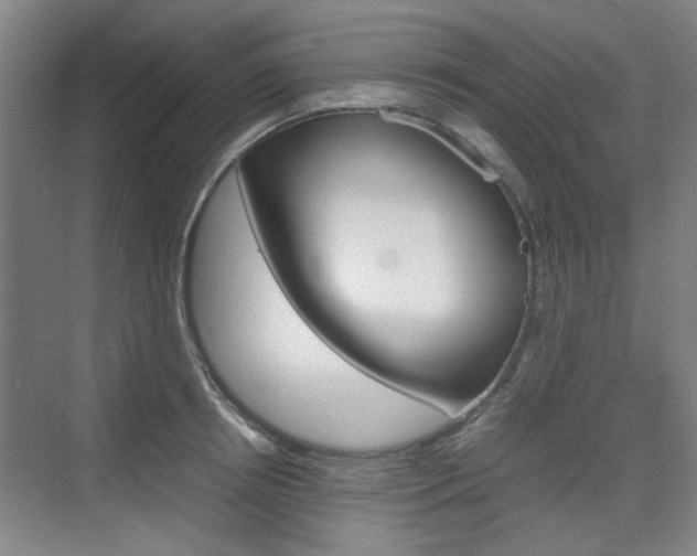 X0000074930850200609010917
