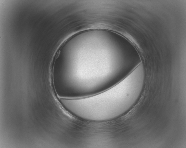 X0000074930854200609010917