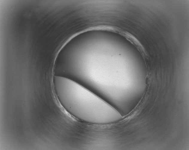 X0000074930860200609010917