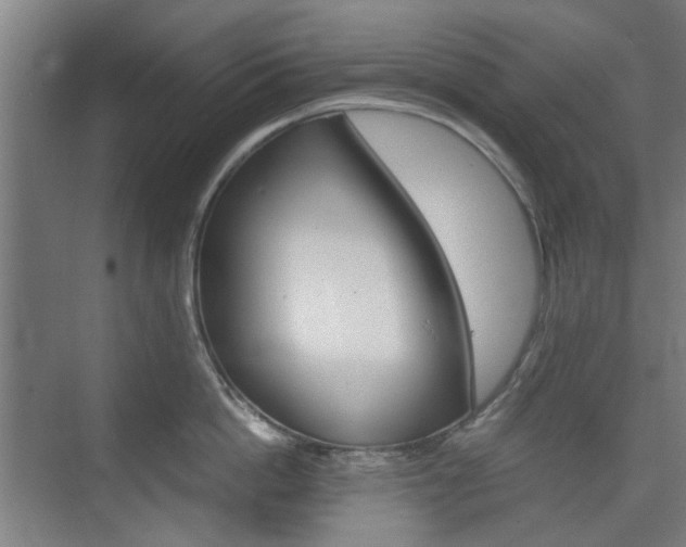X0000074930862200609010917