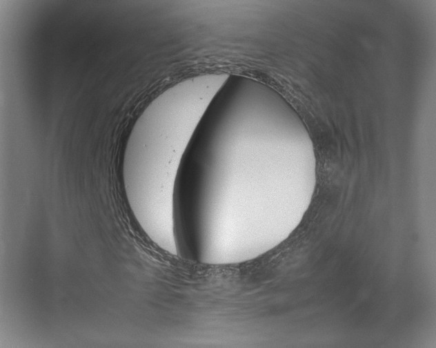 X0000074930865200609010916