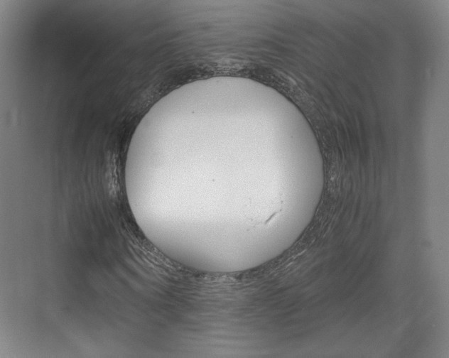 X0000074930866200609010916