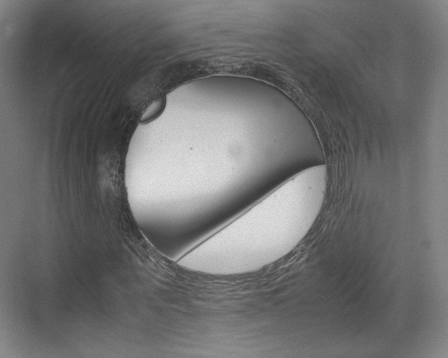 X0000074930867200609010916