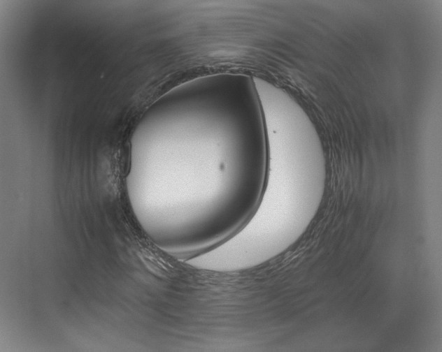 X0000074930868200609010916