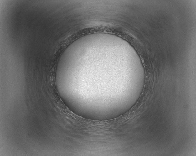 X0000074930869200609010916
