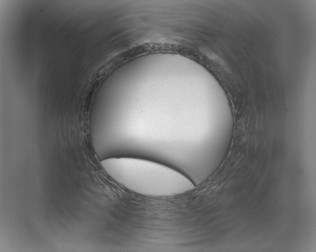 X0000074930870200609010916