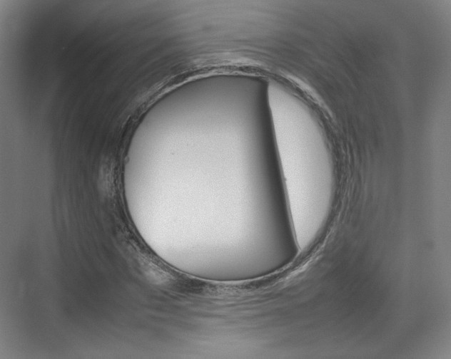 X0000074930873200609010916