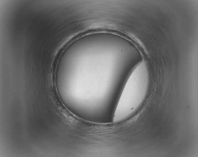 X0000074930877200609010916