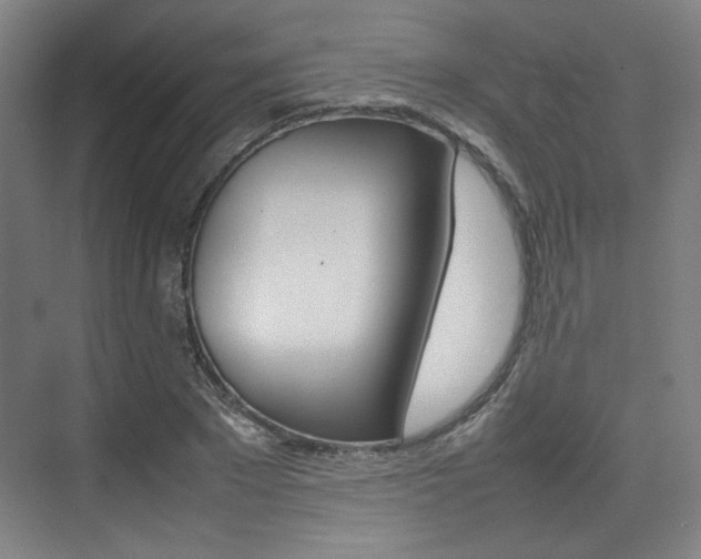 X0000074930881200609010916