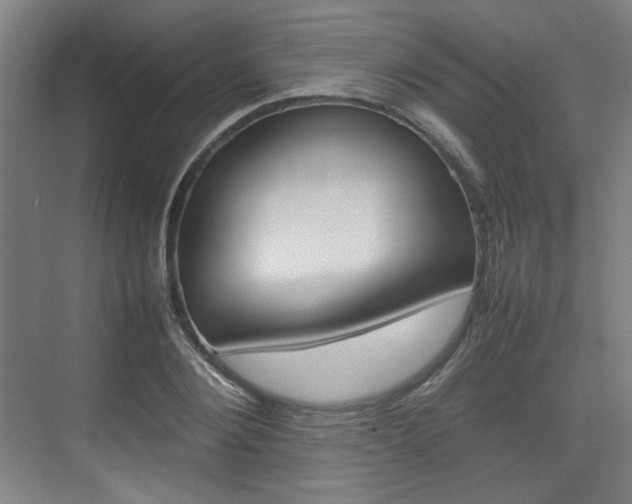 X0000074930884200609010916