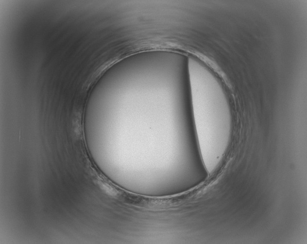 X0000074930889200609010916