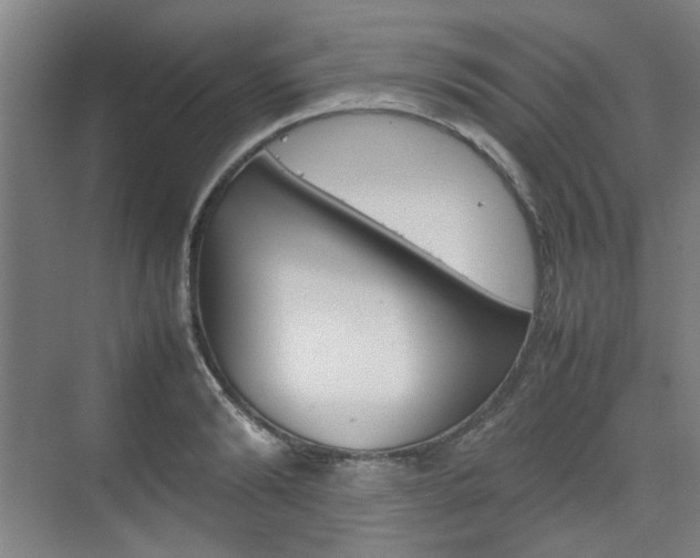 X0000074930894200609010916