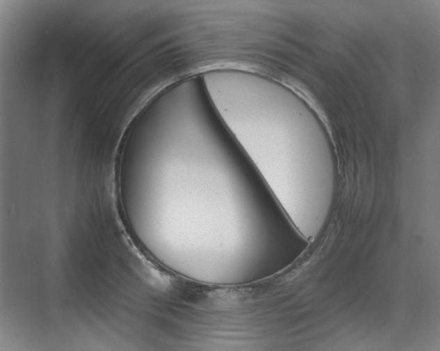 X0000074930898200609010916