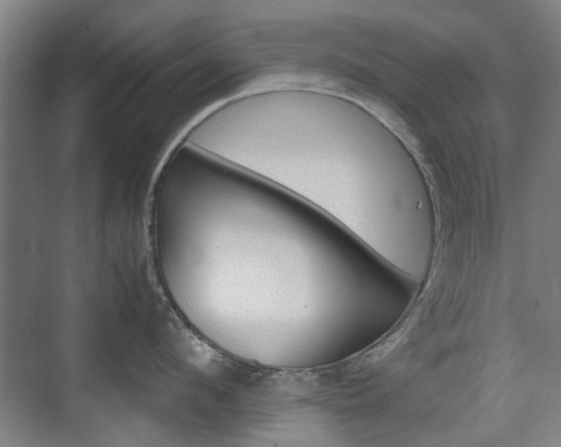 X0000074930912200609010916