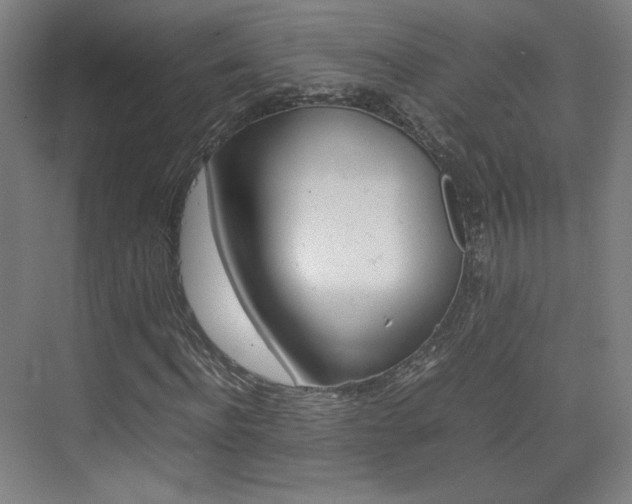 X0000074930916200609010915