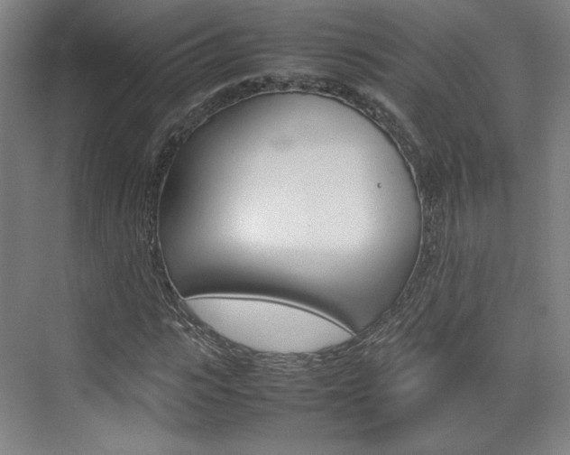 X0000074930919200609010915