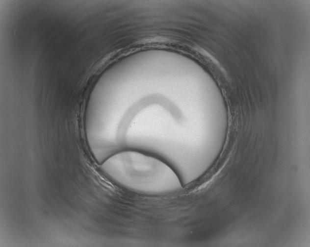 X0000074930921200609010915