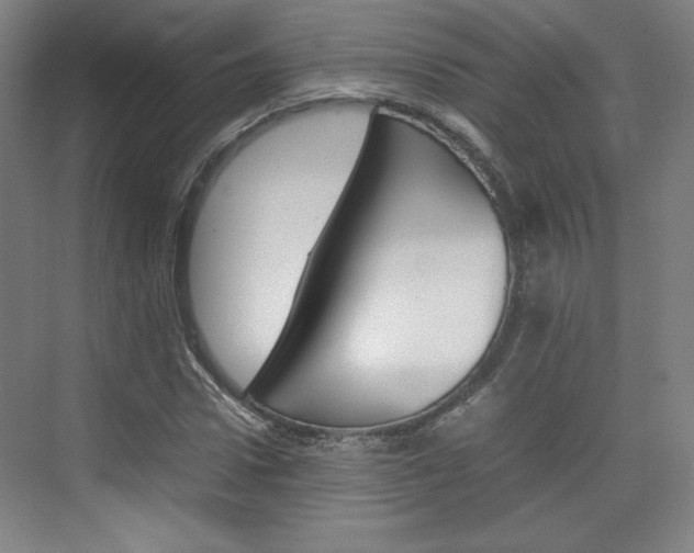 X0000074930922200609010915