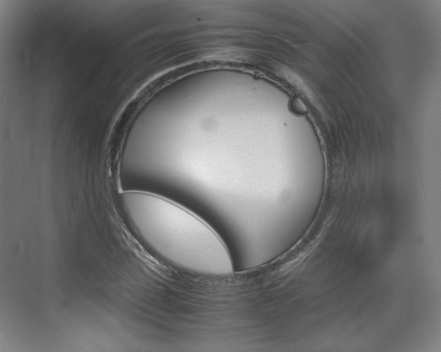 X0000074930923200609010915