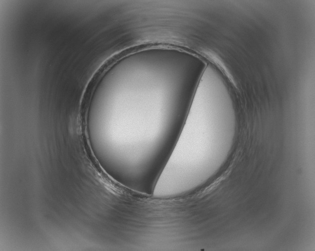 X0000074930924200609010915