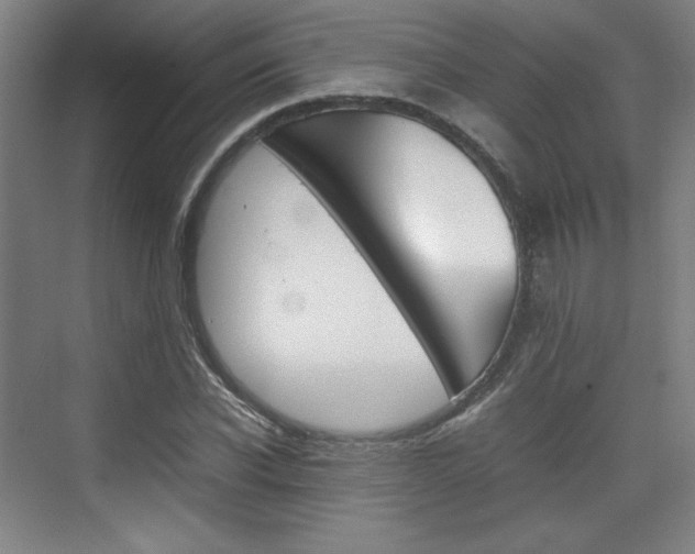 X0000074930926200609010915
