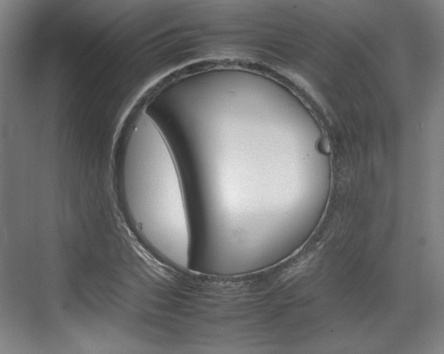 X0000074930927200609010915
