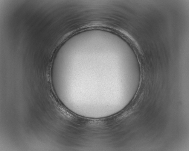 X0000074930929200609010915