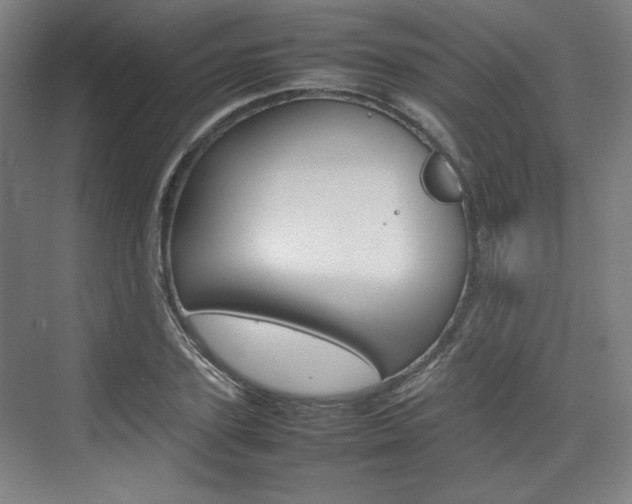 X0000074930931200609010915