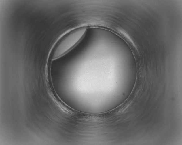 X0000074930932200609010915