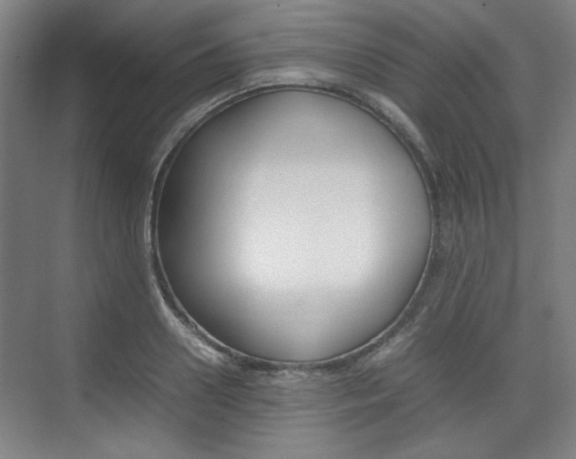 X0000074930938200609010915