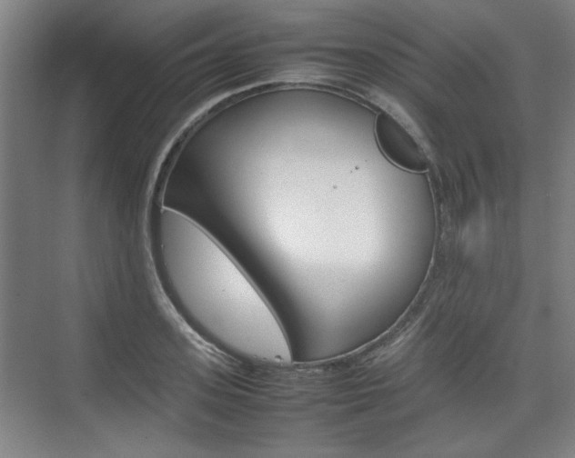 X0000074930939200609010915