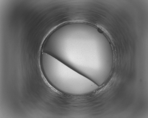 X0000074930941200609010915