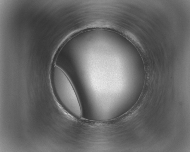 X0000074930942200609010915